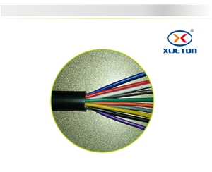 黑擠電源線(xiàn)RVV 10X0.3mm