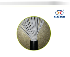 黑擠電源線(xiàn)RVV 20X0.3mm